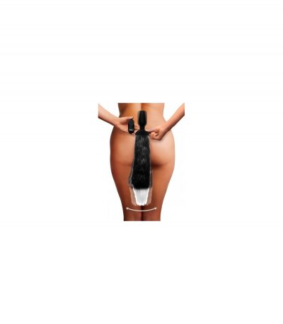 ZORRO USB TAIL PLUG ROTATOR/VIBRATOR WITH CONTROL