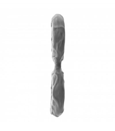DOUBLE C-RING - GRAY - MEDIUM - Imagen 5