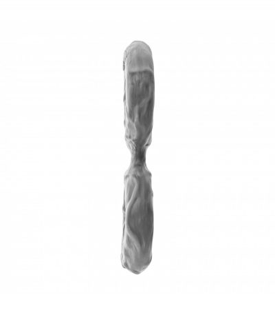 DOUBLE C-RING - GRAY - SMALL - Imagen 6
