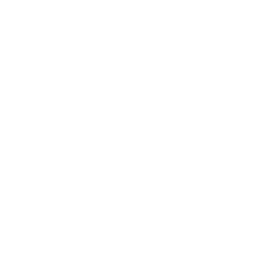 Envío Rápido y Seguro