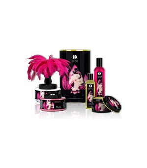 SHUNGA TOUCH OF ROMANCE KIT