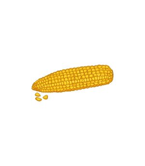 YELLOW COB PENIS