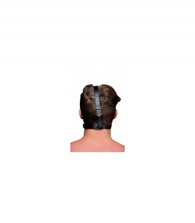 GAUG WITH BLACK HEAD HARNESS - Imagen 4