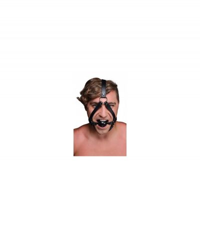 GAUG WITH BLACK HEAD HARNESS