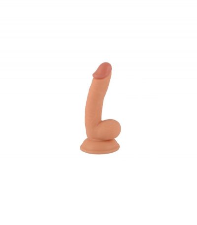 REALISTIC PENIS MR RUDE FLESH 17 CM