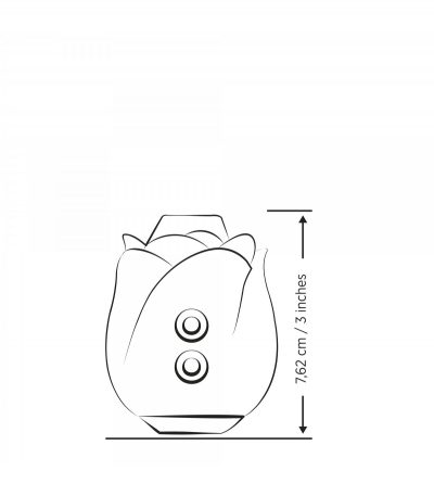 ROMP SUCTION ROSE - Imagen 12